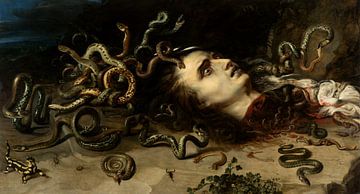 Hoofd van Medusa, Peter Paul Rubens