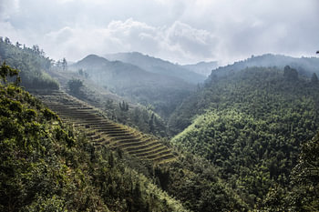 Terrasse in Sa Pa