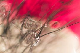 L'énergie sur Cindy Mulder