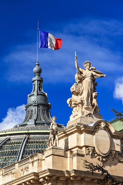 Grand Palais met Franse vlag van Dennis van de Water