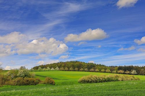 Lentelandschap bij Eigeltingen in Hegau - Bodendistrict