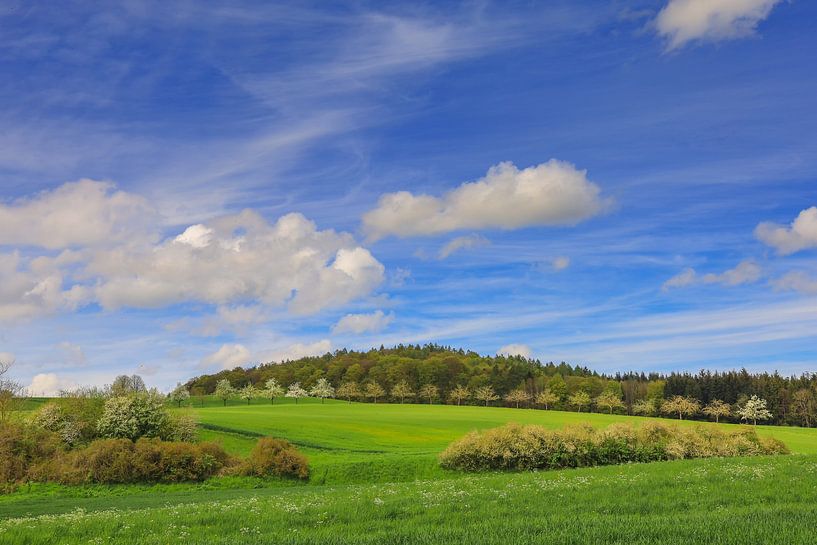 Paysage printanier près d'Eigeltingen dans le Hegau - Landkreis Konstanz par BlattArt - Christine Horn