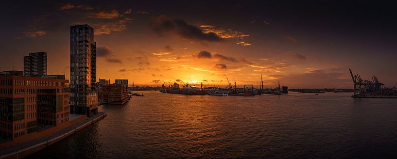 Panorama van prachtige zonsopgang over de haven van Hamburg van Jonas Weinitschke