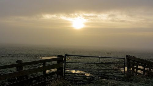 Brouillard à l'aube