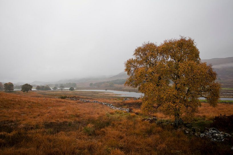 Herbst von Martijn Smeets