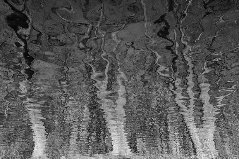 Dancing trees by Jean Arntz