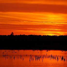 Golden Sky von Ralf Ahsbahs