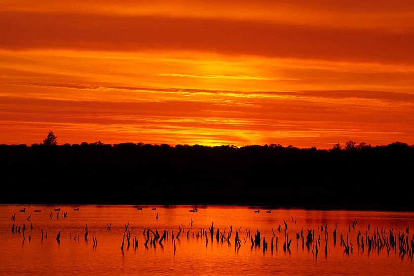 Golden Sky by Ralf Ahsbahs