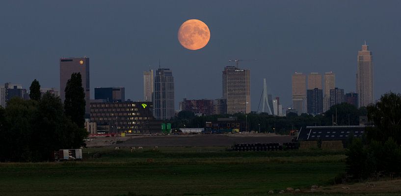 Rotterdam skyline by Brandon Bouwman