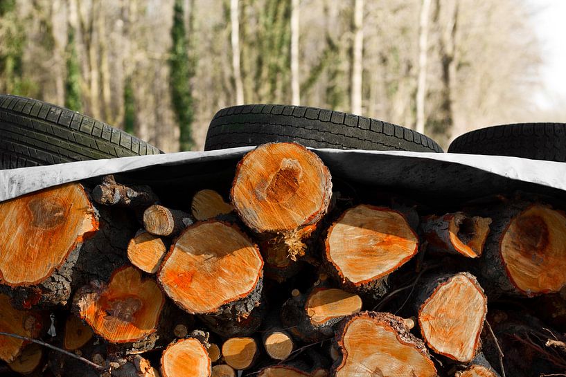 haardhout by Arno Photo