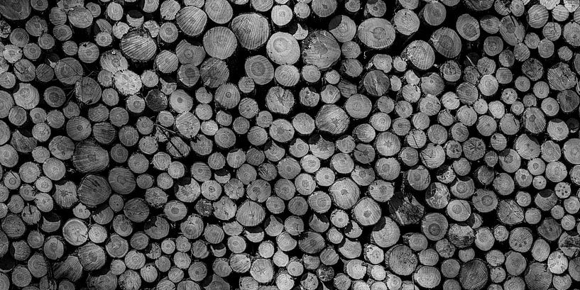 Troncs d'arbres empilés comme décoration murale en noir et blanc par Impression d'artiste de la nature