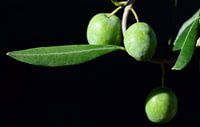 groene olijven van Ulrike Leone thumbnail