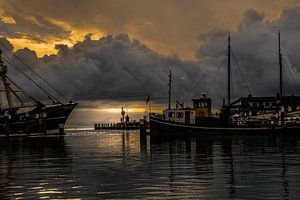 Texel sur Willem  Bentink