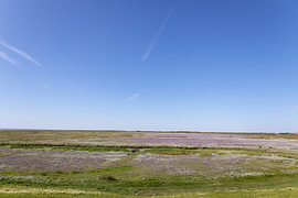Photos de l'île de Spiekeroog, située en Frise orientale, dans la mer du Nord. sur Bianca Meyering Fotos - BMF