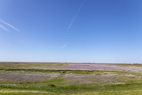 Pictures of Spiekeroog, an East Frisian island in the North Sea.