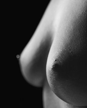 Mooie borsten van een vrouw in close up #A8760 van william langeveld