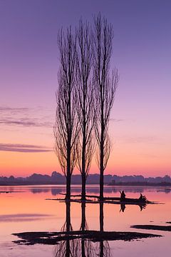 Trois arbres sur Halma Fotografie