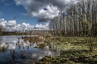 Reflection in Broekpolder II