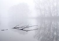 Mist