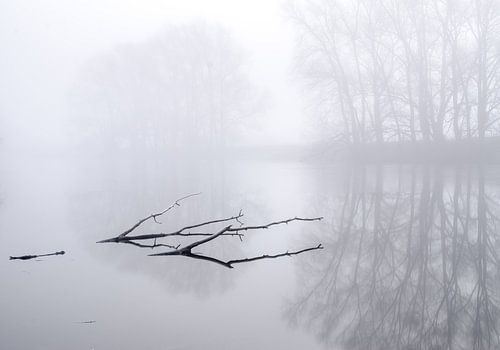 Mist