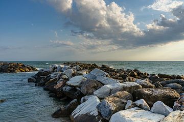 Strand en rotsen in de Middellandse Zee in Toscane van Animaflora PicsStock