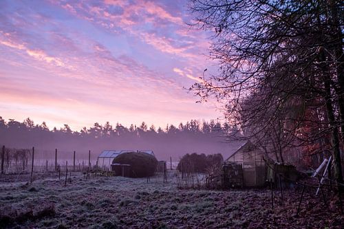 Zonsopkomst Kootwijkerzand
