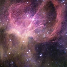 Star cluster IC 348 by NASA and Space