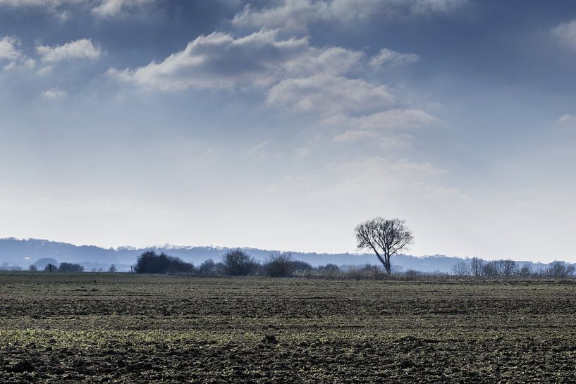 On a cold day in the Ooijpolder, the bare tree and bleak wind. by Lieke van Grinsven van Aarle