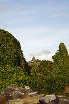 Ruinen der mittelalterlichen Kirche von Kilmacreehy