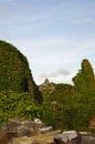 Ruinen der mittelalterlichen Kirche von Kilmacreehy von Babetts Bildergalerie Miniaturansicht