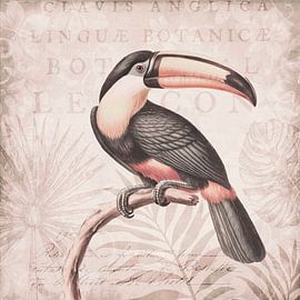 Toucan World von Andrea Haase