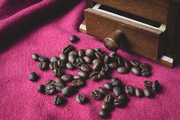 Who Spilt the Beans?