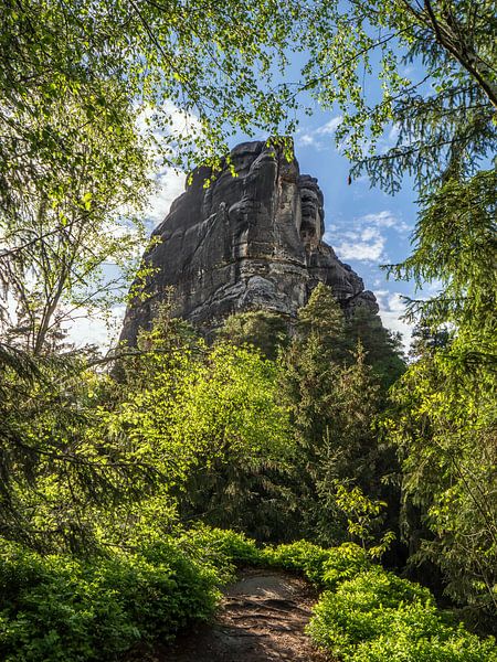 Schießgrund, Sächsische Schweiz - Falkenstein von Pixelwerk