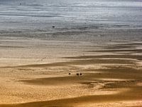 Terschelling
