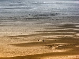 Terschelling sur Jessica Berendsen