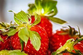 Fresh strawberries by Photoart-Naegele
