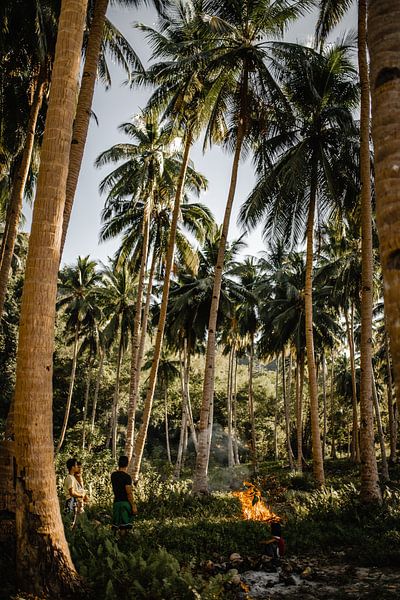 Feuer zwischen den Palmen Philippinen von Yvette Baur