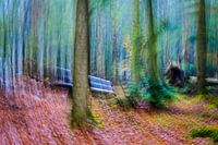 Rollende bomen