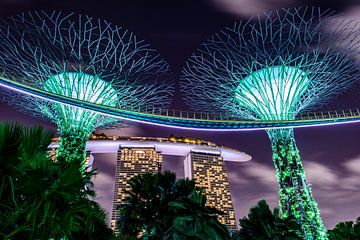 Singapore bij nacht van Ton de Koning