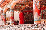 Tibetaanse monniken bij klooster van Your Travel Reporter thumbnail