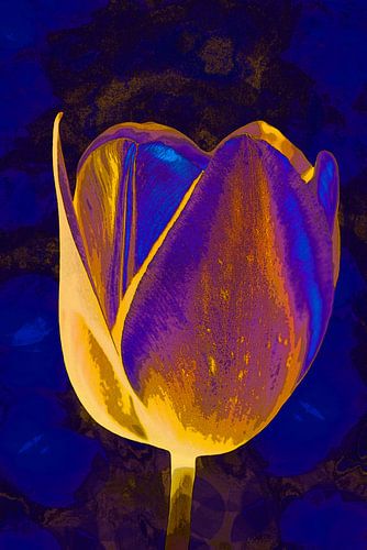 Tulipe en Delftware et Copper Gold.