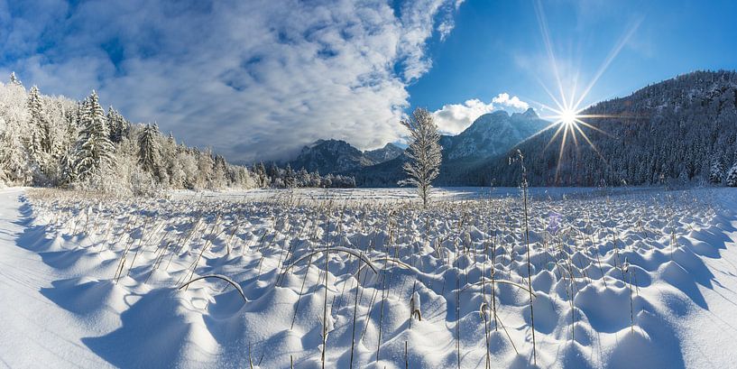 Winter dreams at Schwansee by Walter G. Allgöwer