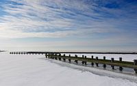Het Markermeer in de winter