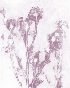 Fleurs violettes sur fond blanc. Vie naturelle. Art botanique dans des couleurs pastel. sur Dina Dankers