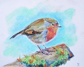 Rouge-gorge sur Irina Rammos