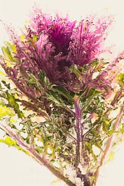 Ornamental cabbage in ice 2 by Marc Heiligenstein