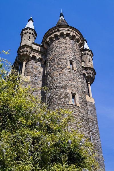Wilhelmsturm und Wisteria, Dillenburg, Deutschland von Imladris Images