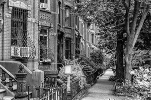 Brownstone Houses in Park Slope, Brooklyn | Monochrom