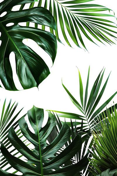 Monstera van Poster Art Shop