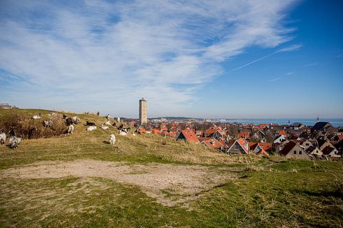View of the Brandaris